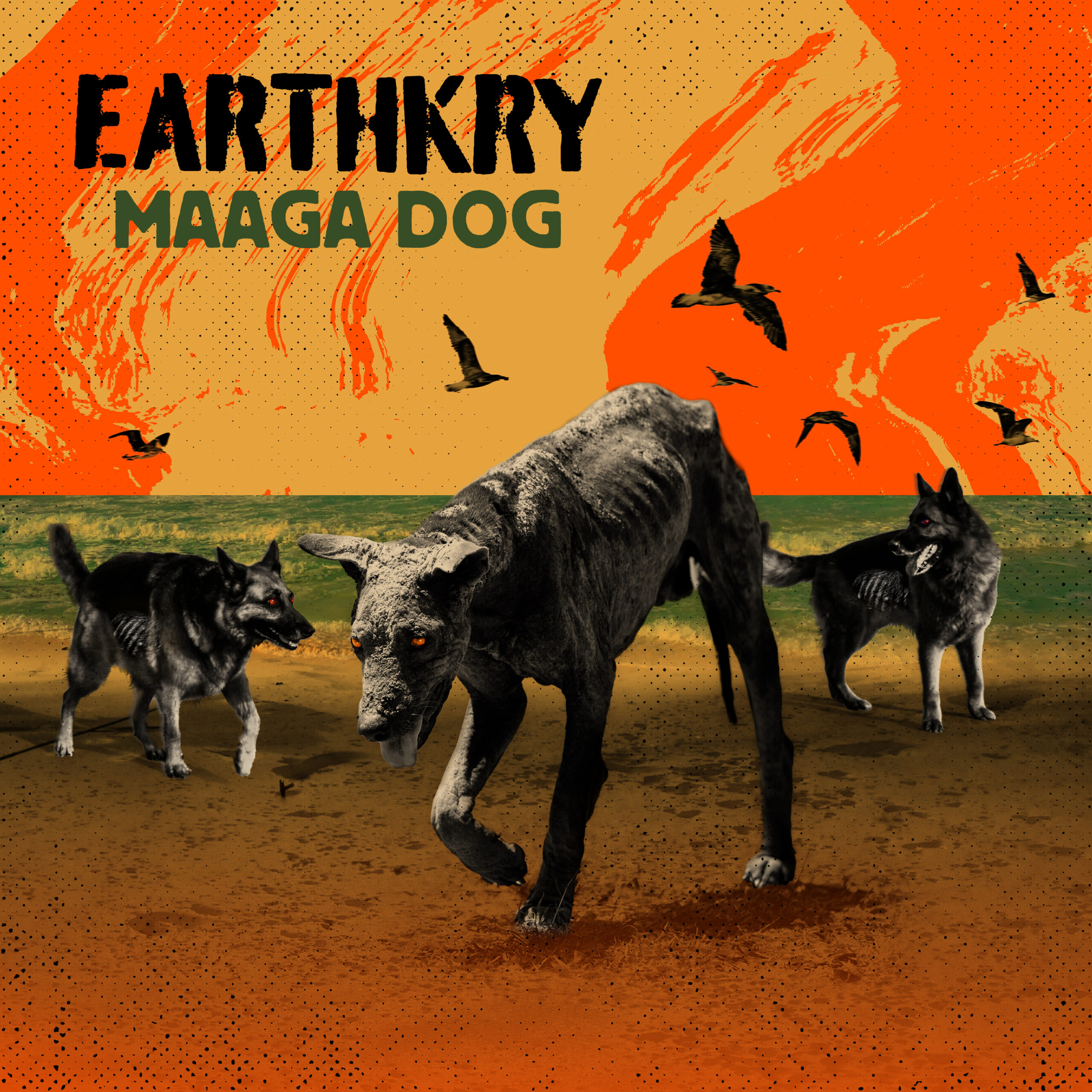 Maaga Dog album cover